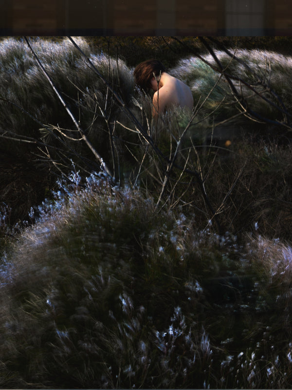 Artist in Residence: Lilli Waters