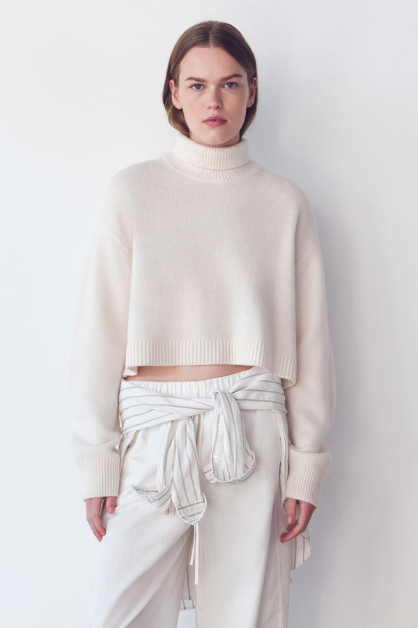 Paris Wool Cashmere Knit Turtleneck