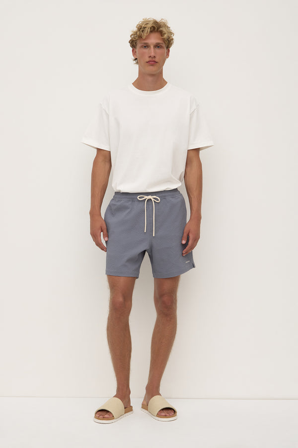 Seth_Swim_Short_Ashphalt_0876