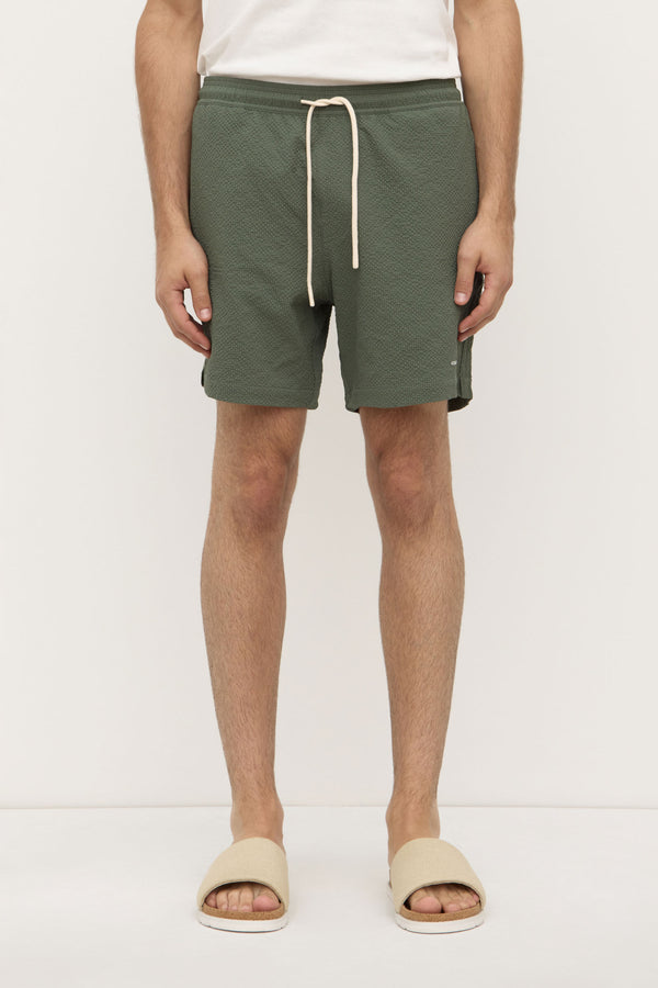 Seth_Swim_Short_Hollow_1878jpeg