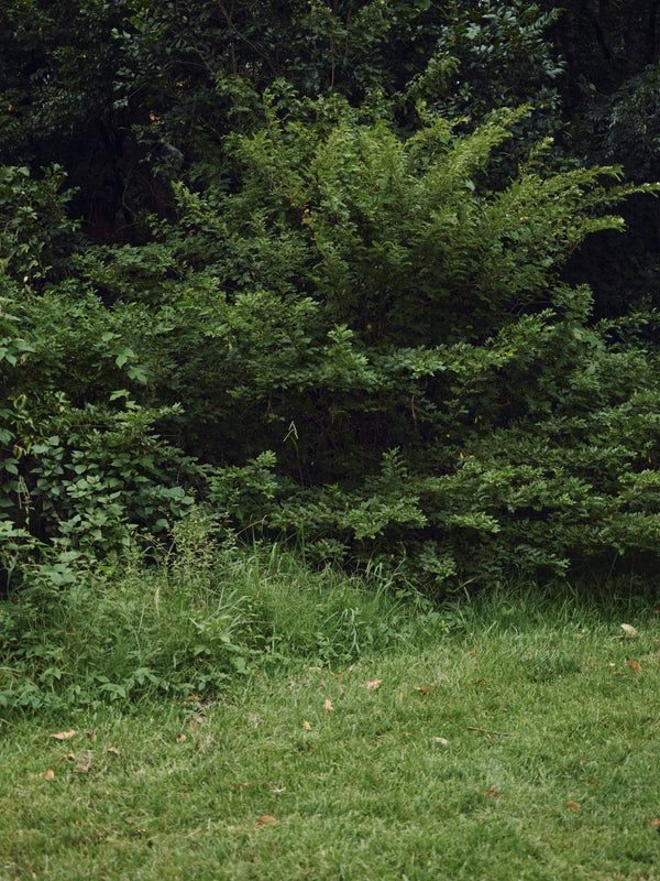 Playlist: Autumn 2026