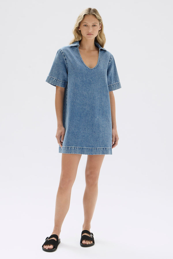 Genevieve Denim Mini Dress